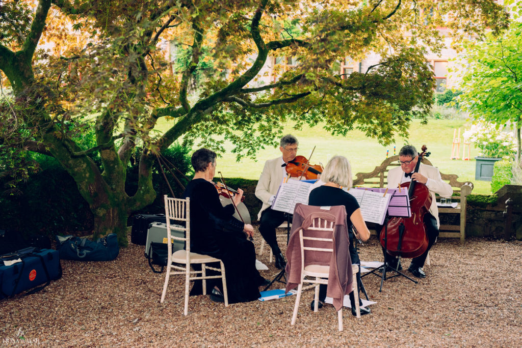 wedding-musicians