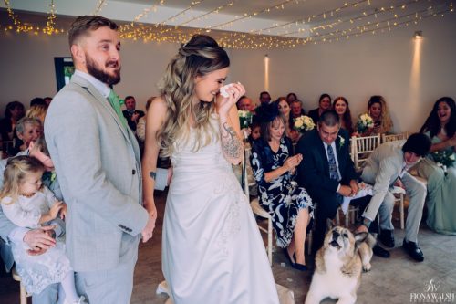 006dogs-at-weddings