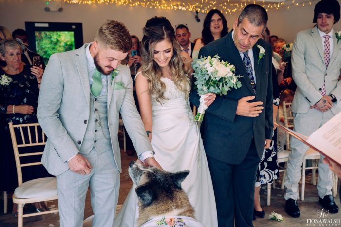 007dogs-at-weddings