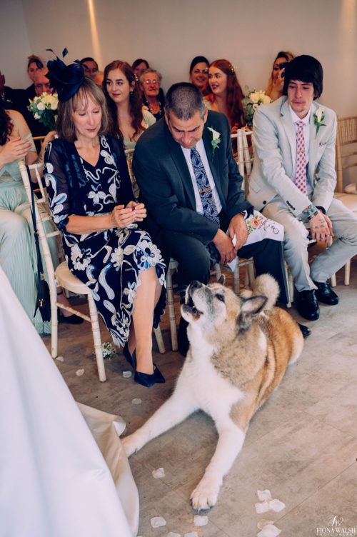 008dogs-at-weddings