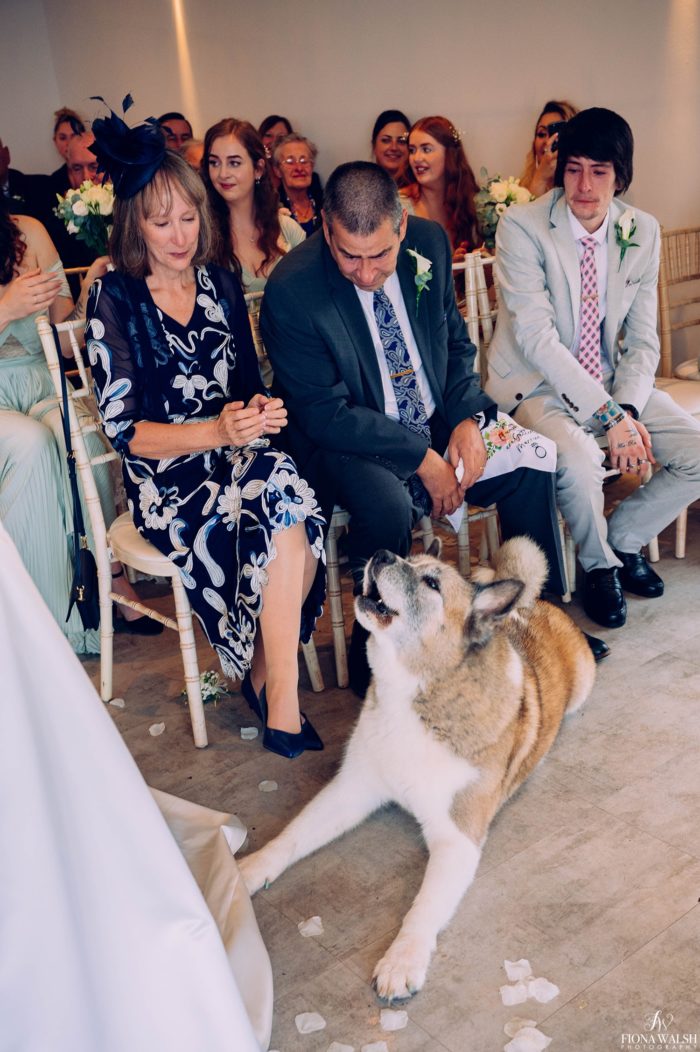 008dogs-at-weddings