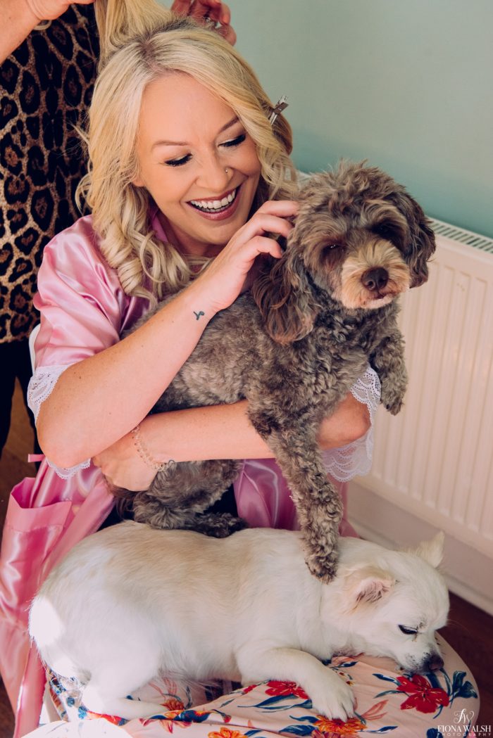 013dogs-at-weddings-uk