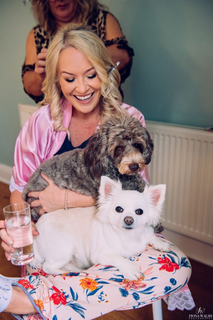 015dogs-at-weddings-uk