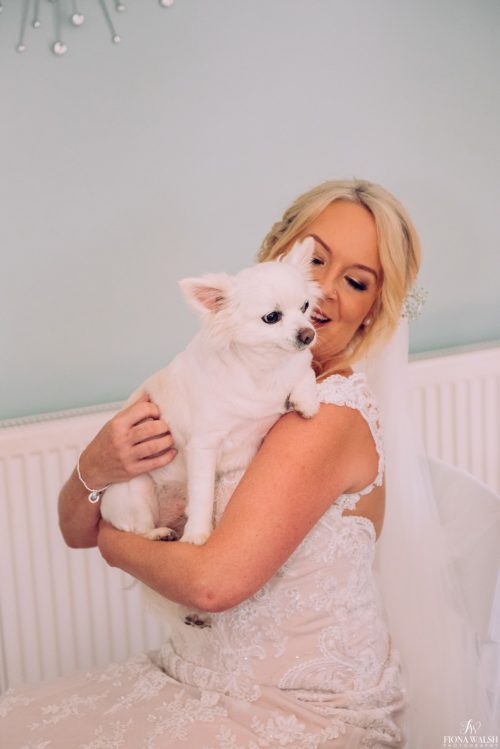 016dogs-at-weddings-uk