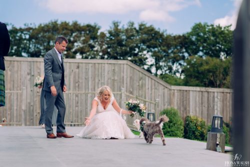 017dogs-at-weddings-uk