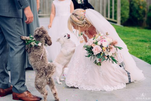 018dogs-at-weddings-uk