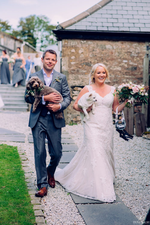 019dogs-at-weddings-uk