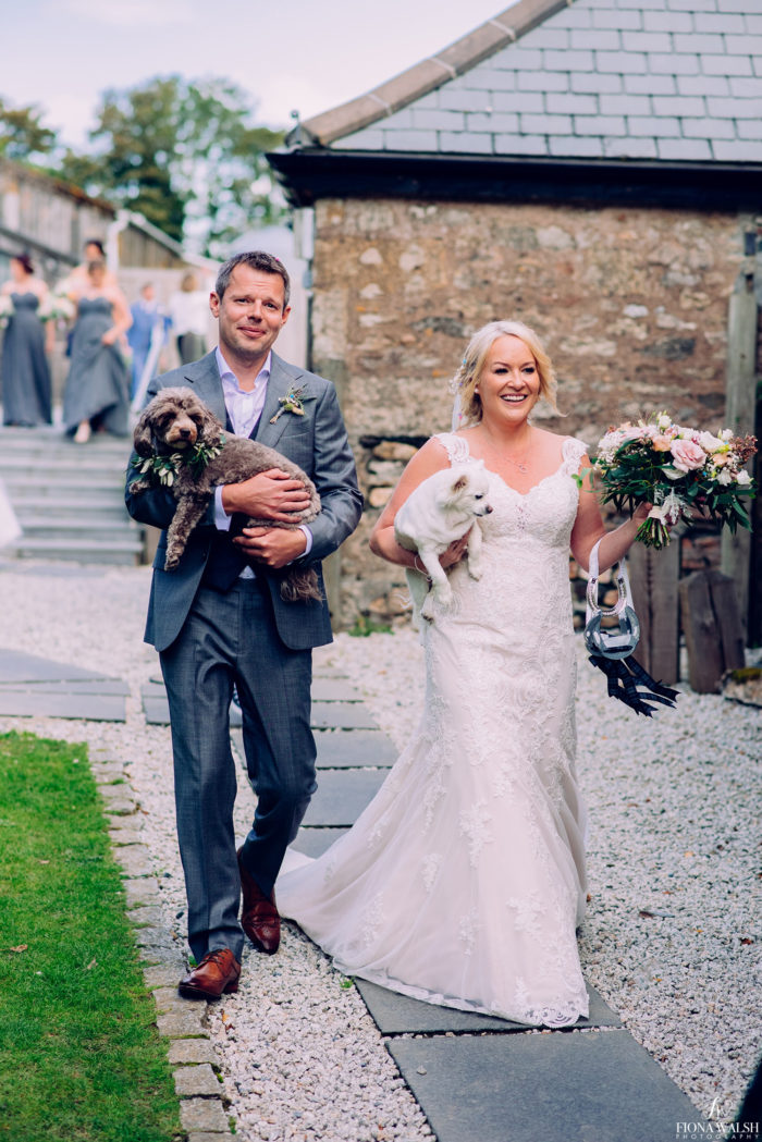 019dogs-at-weddings-uk