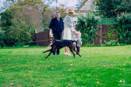 022dogs-at-weddings-tips