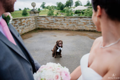 025dogs-at-weddings-tips