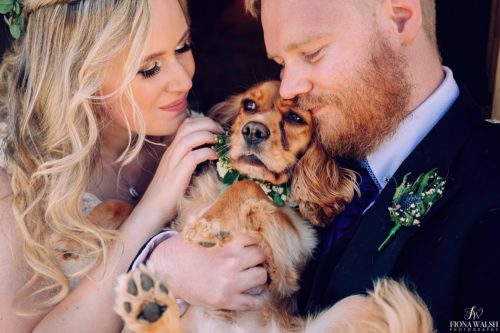 027dogs-at-weddings-images