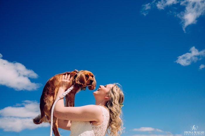 030dogs-at-weddings-images