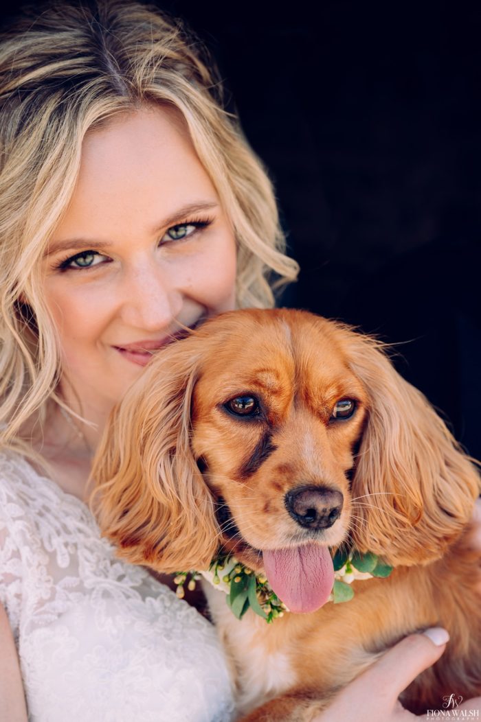 032dogs-at-weddings-images