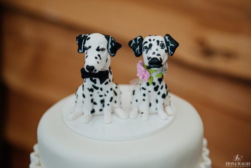 036photos-of-dogs-at-weddings