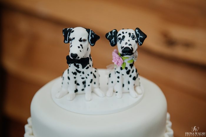 036photos-of-dogs-at-weddings