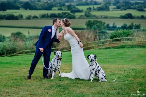038doggie-wedding-photographer