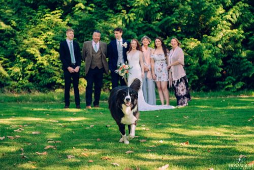 041pet-at-your-wedding