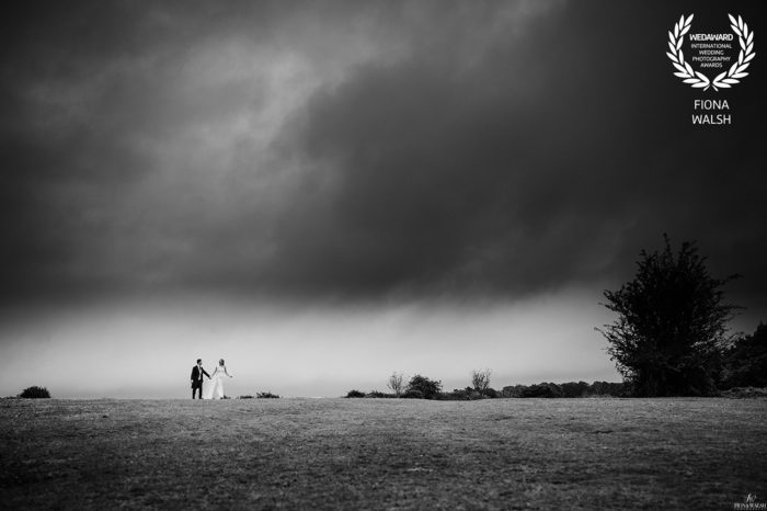 dartmoor-photographer