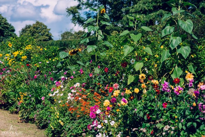 017cadhay-house-wedding