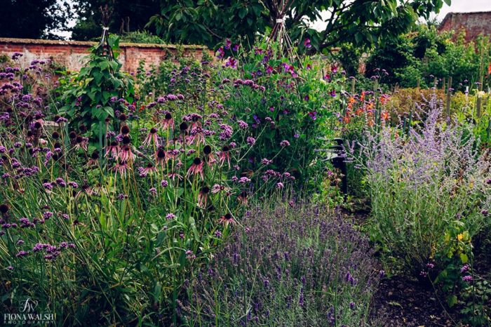 018cadhay-house-wedding