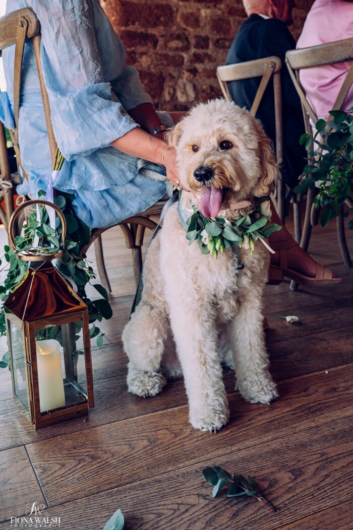 11 elopement wedding photographer somerset