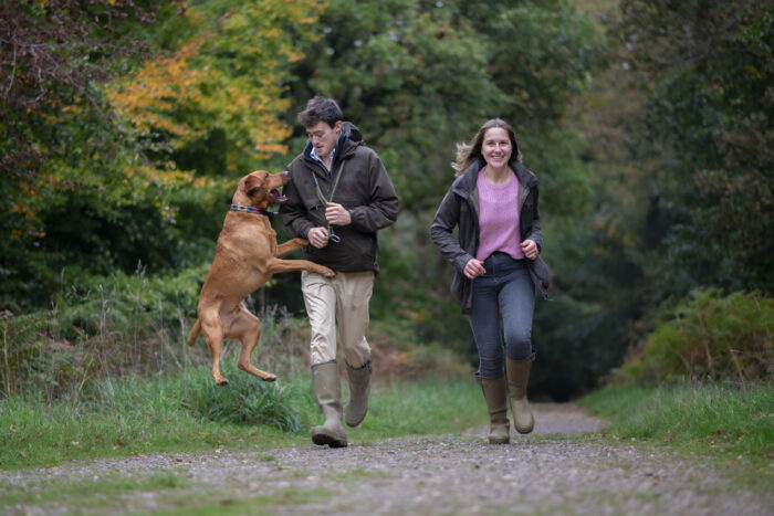 dog-photography-taunton-somerset