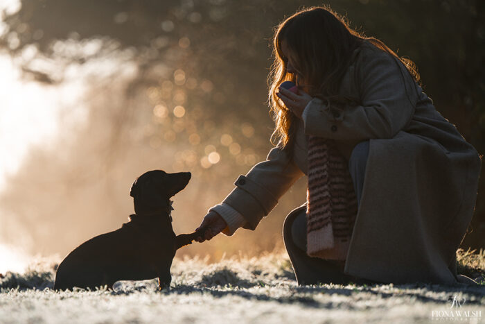 exeter pet photographer