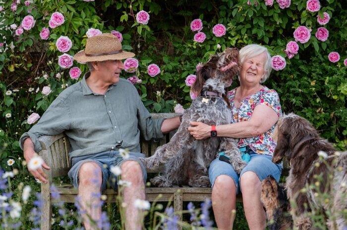 dog-photoshoot-taunton